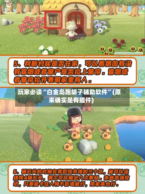 玩家必读“白金岛跑胡子辅助软件”(原来确实是有插件)-第2张图片