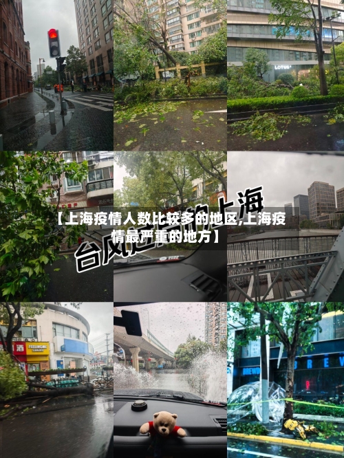 【上海疫情人数比较多的地区,上海疫情最严重的地方】-第2张图片