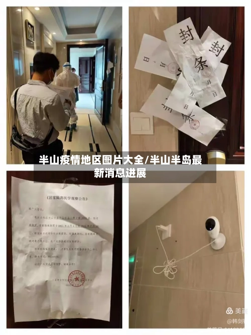 半山疫情地区图片大全/半山半岛最新消息进展