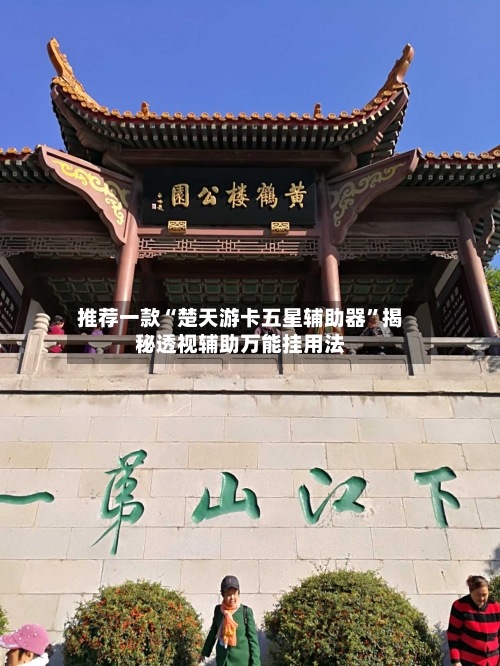 推荐一款“楚天游卡五星辅助器	”揭秘透视辅助万能挂用法-第2张图片