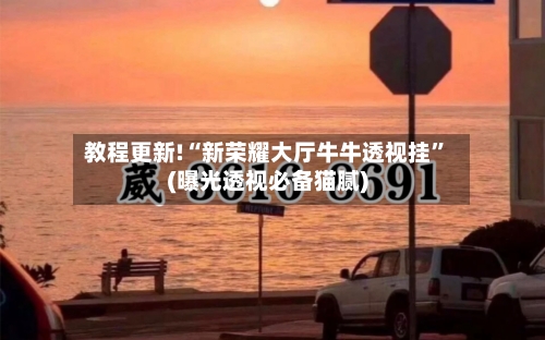 教程更新!“新荣耀大厅牛牛透视挂”(曝光透视必备猫腻)-第2张图片