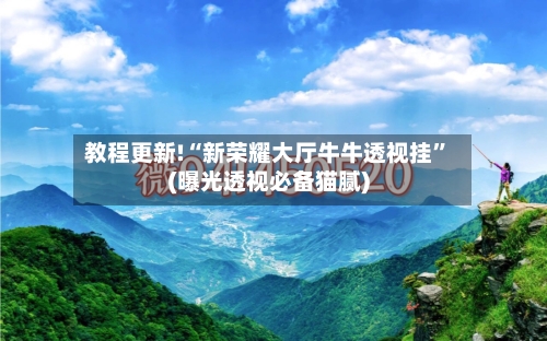 教程更新!“新荣耀大厅牛牛透视挂	”(曝光透视必备猫腻)-第2张图片