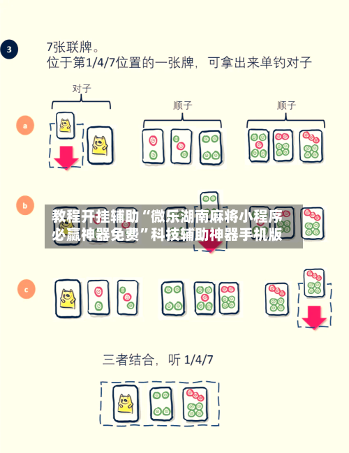 教程开挂辅助“微乐湖南麻将小程序必赢神器免费	”科技辅助神器手机版-第2张图片