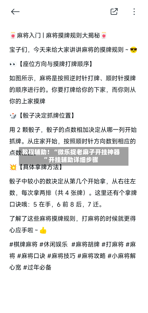 教程辅助！“微乐捉老麻子开挂神器”开挂辅助详细步骤-第3张图片