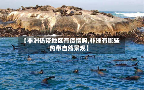 【非洲热带地区有疫情吗,非洲有哪些热带自然景观】