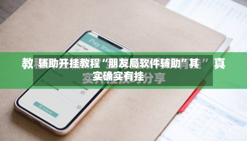 辅助开挂教程“朋友局软件辅助”其实确实有挂-第3张图片