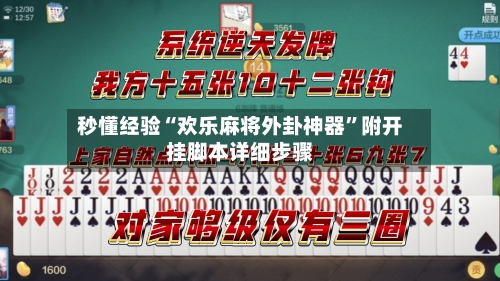 秒懂经验“欢乐麻将外卦神器	”附开挂脚本详细步骤-第2张图片