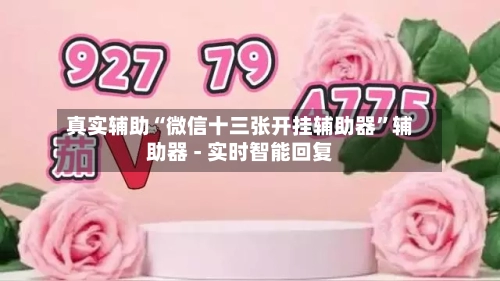 真实辅助“微信十三张开挂辅助器	”辅助器 - 实时智能回复-第2张图片