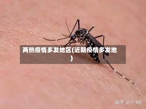 两热疫情多发地区(近期疫情多发地)