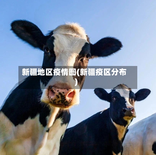 新疆地区疫情图(新疆疫区分布)-第3张图片