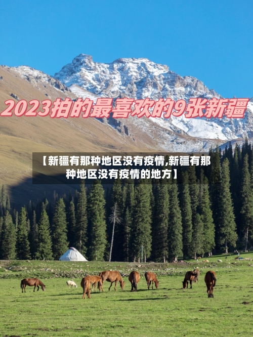 【新疆有那种地区没有疫情,新疆有那种地区没有疫情的地方】-第2张图片