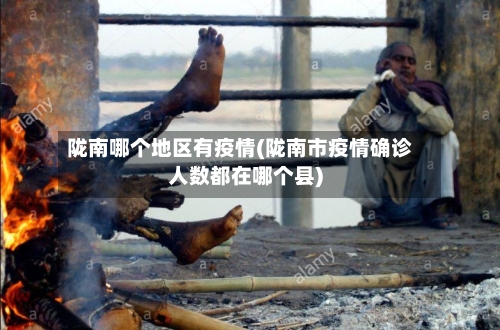 陇南哪个地区有疫情(陇南市疫情确诊人数都在哪个县)-第2张图片