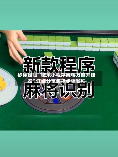 秒懂经验“微乐小程序麻将万能开挂器”详细分享装挂步骤教程