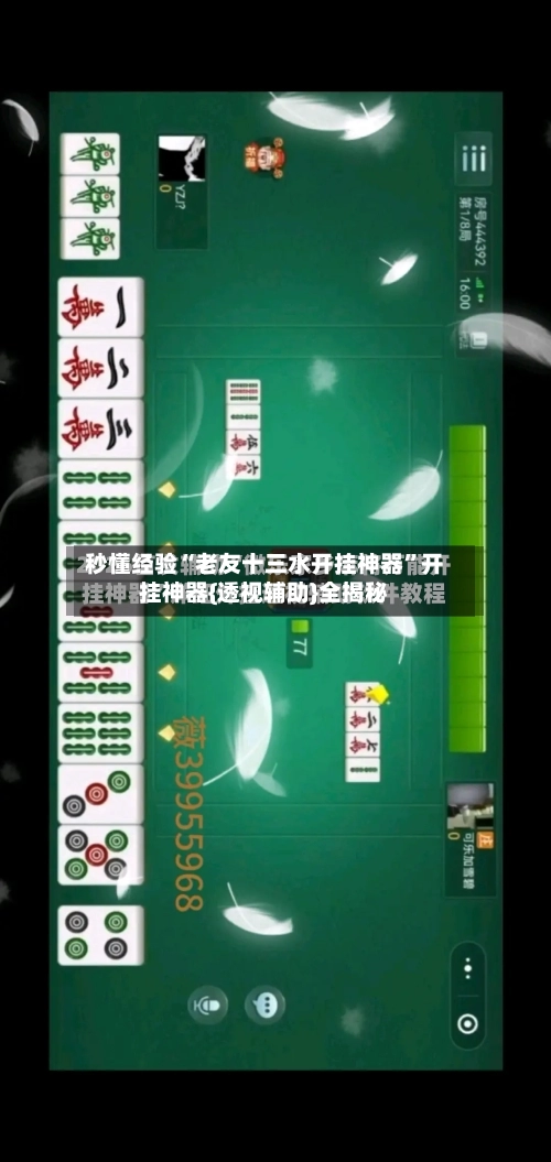 秒懂经验“老友十三水开挂神器”开挂神器{透视辅助}全揭秘-第2张图片