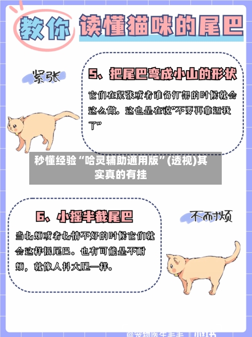 秒懂经验“哈灵辅助通用版”(透视)其实真的有挂