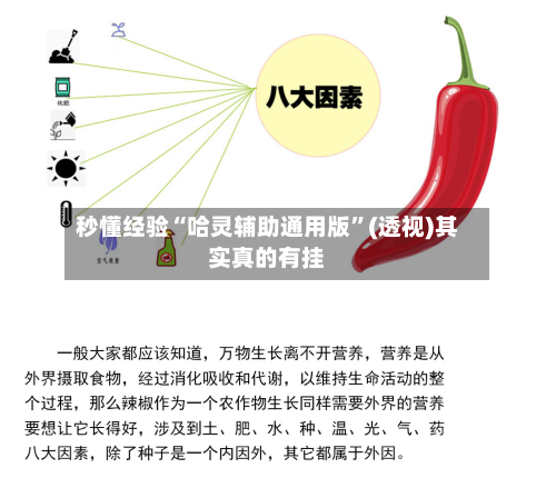 秒懂经验“哈灵辅助通用版”(透视)其实真的有挂-第2张图片