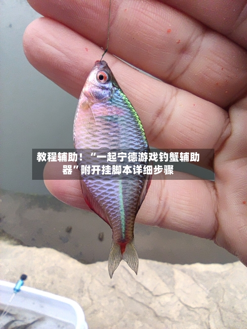 教程辅助！“一起宁德游戏钓蟹辅助器”附开挂脚本详细步骤-第2张图片