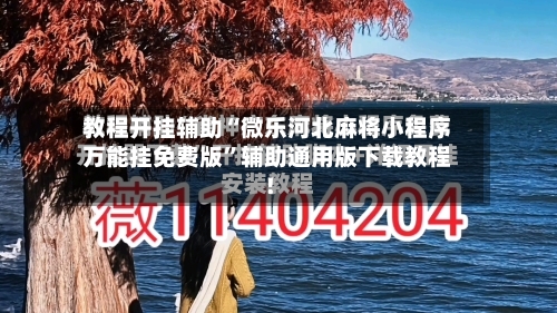 教程开挂辅助“微乐河北麻将小程序万能挂免费版”辅助通用版下载教程！-第2张图片