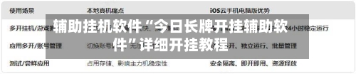 辅助挂机软件“今日长牌开挂辅助软件”详细开挂教程-第2张图片