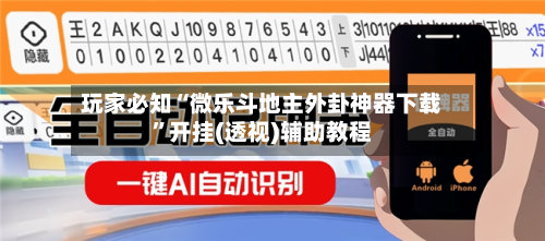 玩家必知“微乐斗地主外卦神器下载”开挂(透视)辅助教程-第2张图片