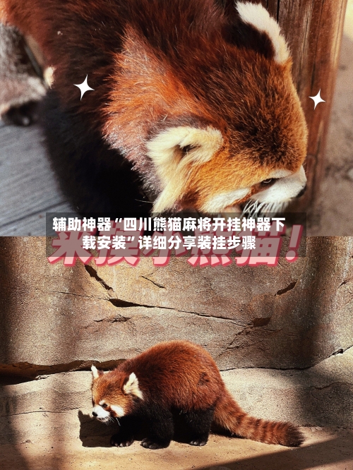 辅助神器“四川熊猫麻将开挂神器下载安装”详细分享装挂步骤-第3张图片