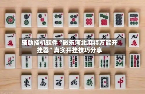 辅助挂机软件“微乐河北麻将万能开挂器”真实开挂技巧分享-第2张图片