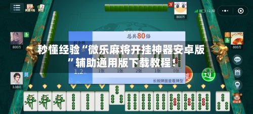 秒懂经验“微乐麻将开挂神器安卓版	”辅助通用版下载教程！-第3张图片