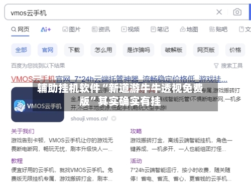 辅助挂机软件“新道游牛牛透视免费版”其实确实有挂-第2张图片