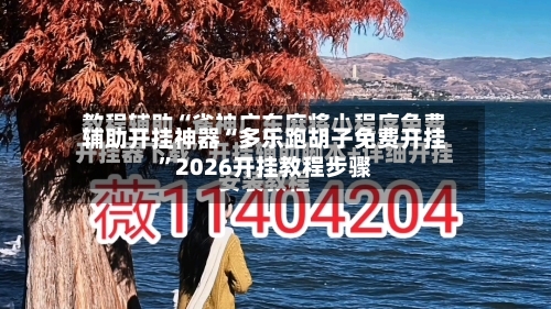 辅助开挂神器“多乐跑胡子免费开挂”2026开挂教程步骤-第3张图片