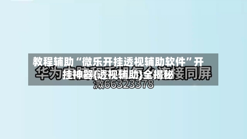 教程辅助“微乐开挂透视辅助软件”开挂神器{透视辅助}全揭秘-第3张图片