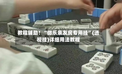 教程辅助！“微乐亲友房专用挂	”(透视挂)详细用法教程-第2张图片