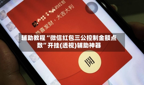 辅助教程“微信红包三公控制金额点数	”开挂(透视)辅助神器-第2张图片