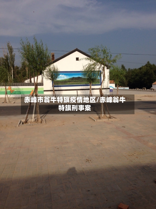 赤峰市翁牛特旗疫情地区/赤峰翁牛特旗刑事案