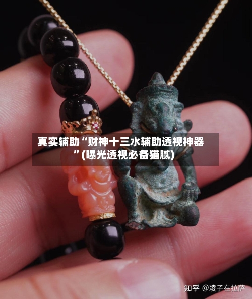 真实辅助“财神十三水辅助透视神器”(曝光透视必备猫腻)-第2张图片