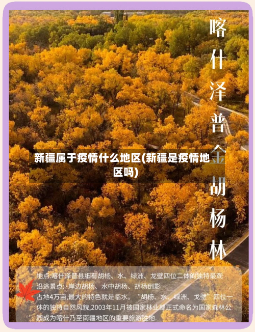 新疆属于疫情什么地区(新疆是疫情地区吗)-第2张图片