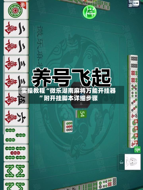实操教程“微乐湖南麻将万能开挂器	”附开挂脚本详细步骤-第2张图片