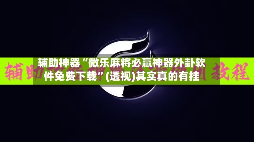 辅助神器“微乐麻将必赢神器外卦软件免费下载”(透视)其实真的有挂-第3张图片
