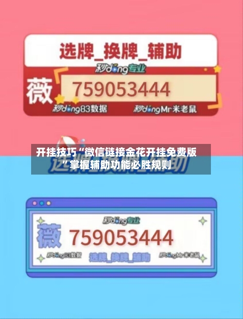 开挂技巧“微信链接金花开挂免费版”掌握辅助功能必胜规则-第2张图片