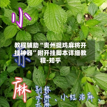 教程辅助“贵州捉鸡麻将开挂神器	”附开挂脚本详细教程-知乎-第2张图片