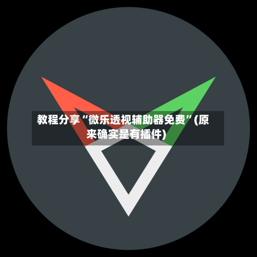 教程分享“微乐透视辅助器免费”(原来确实是有插件)