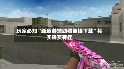 玩家必知“新道游辅助器链接下载”其实确实有挂-第3张图片