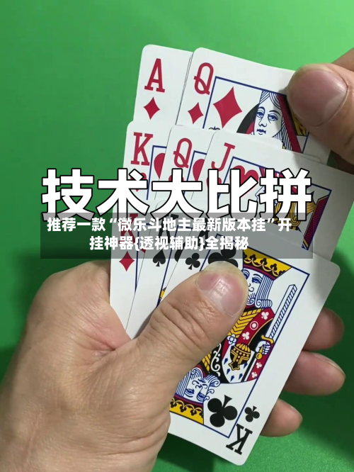 推荐一款“微乐斗地主最新版本挂”开挂神器{透视辅助}全揭秘-第2张图片