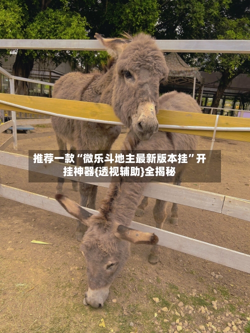 推荐一款“微乐斗地主最新版本挂”开挂神器{透视辅助}全揭秘