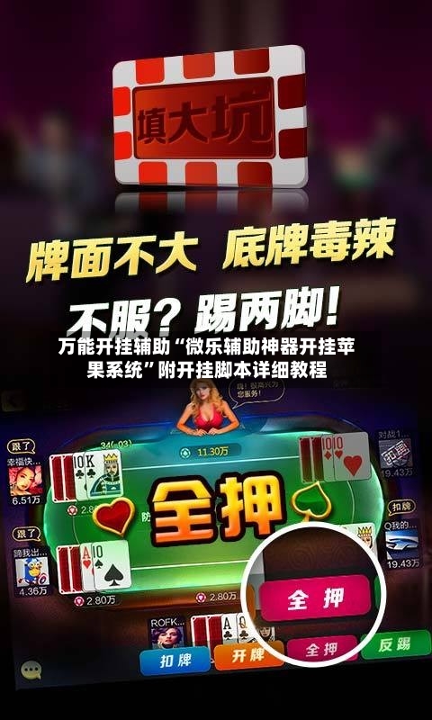 万能开挂辅助“微乐辅助神器开挂苹果系统”附开挂脚本详细教程