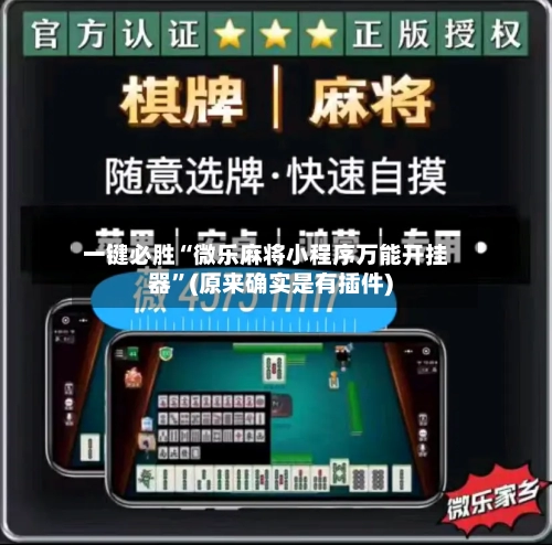 一键必胜“微乐麻将小程序万能开挂器”(原来确实是有插件)-第3张图片