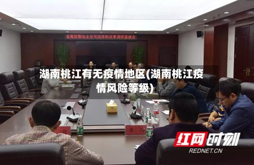 湖南桃江有无疫情地区(湖南桃江疫情风险等级)-第2张图片