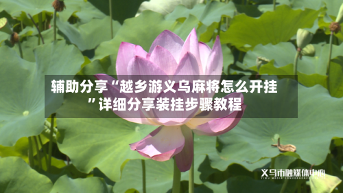 辅助分享“越乡游义乌麻将怎么开挂”详细分享装挂步骤教程