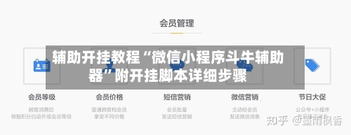 辅助开挂教程“微信小程序斗牛辅助器”附开挂脚本详细步骤-第2张图片