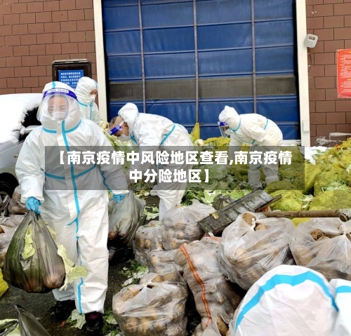 【南京疫情中风险地区查看,南京疫情中分险地区】