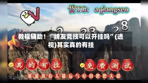 教程辅助！“牌友竞技可以开挂吗”(透视)其实真的有挂-第3张图片